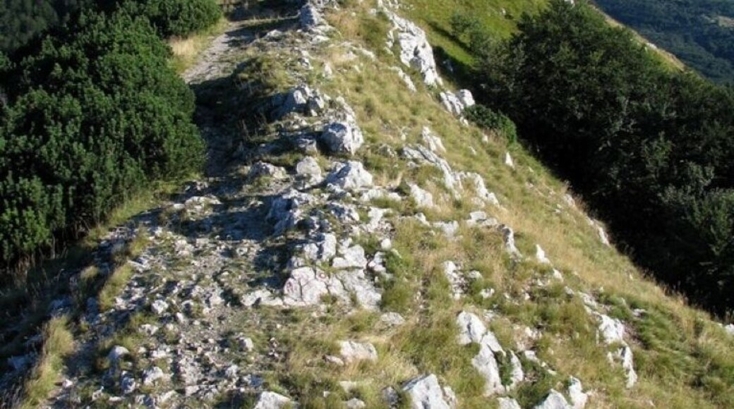 Great view from Ucka (1401m)