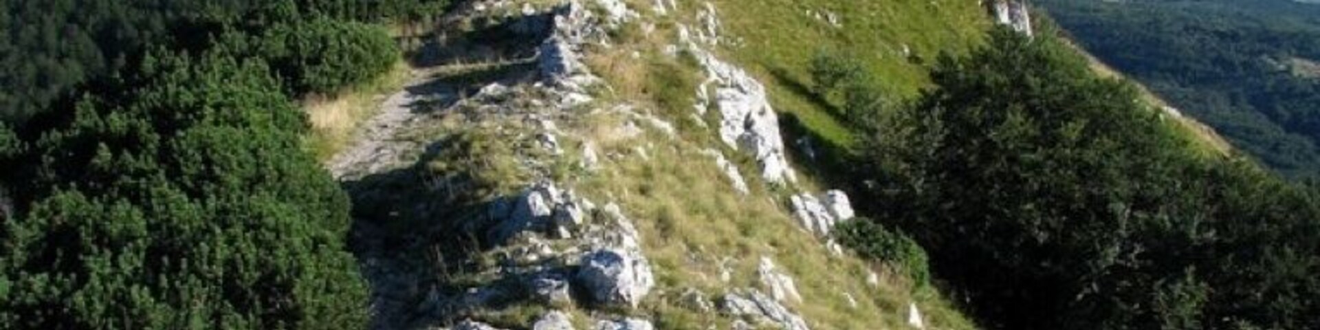 Great view from Ucka (1401m)