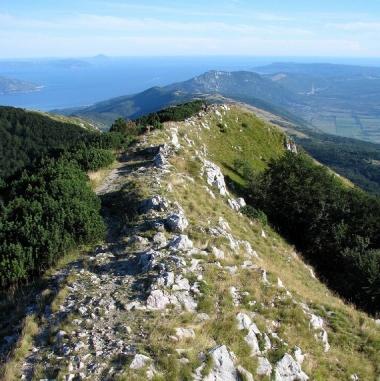 A rocky mountain path with dense forest on either side and a distant view of a coastline.