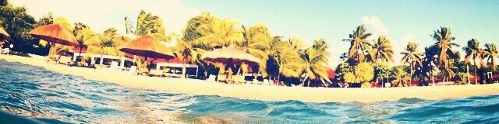 Haiti has beautiful beaches! It's always a fun beach day at Club Indigo.