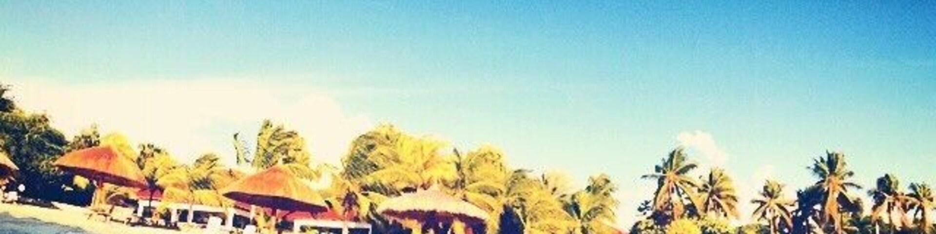 Uma praia com palmeiras e um céu azul límpido.