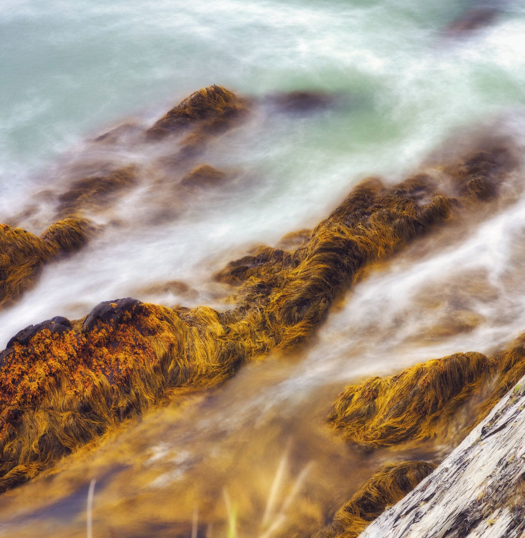 As waters fall the ocean floor becomes exposed. All the crustaceans, seaweed, and jagged rocks take a deep breath of air before the tide comes back in and obscures this view for a few hours. 