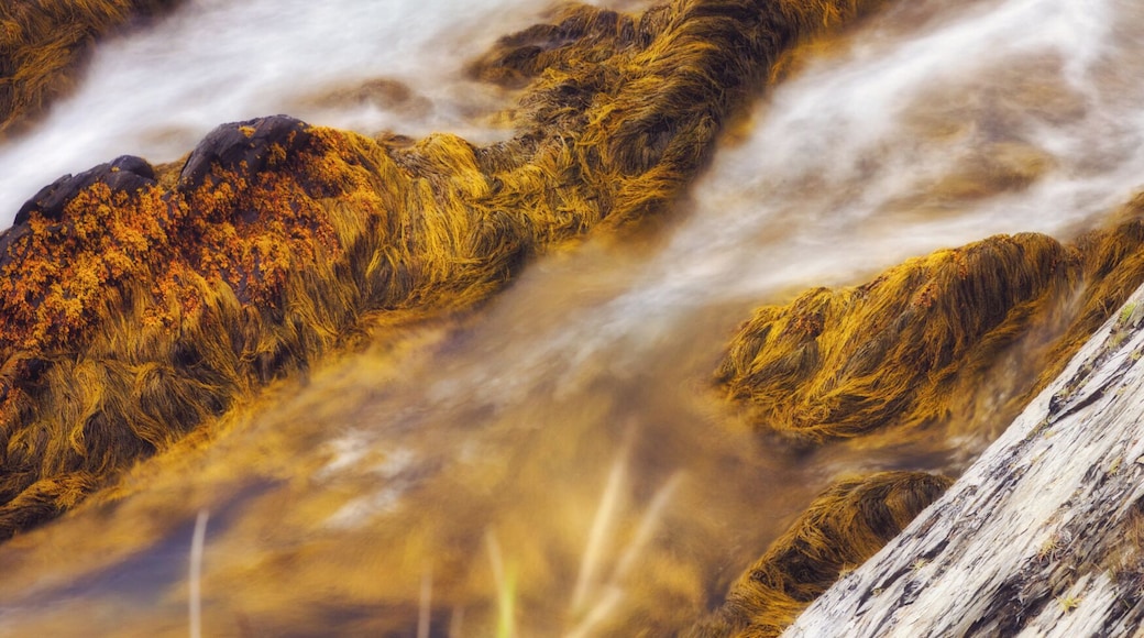 As waters fall the ocean floor becomes exposed. All the crustaceans, seaweed, and jagged rocks take a deep breath of air before the tide comes back in and obscures this view for a few hours.