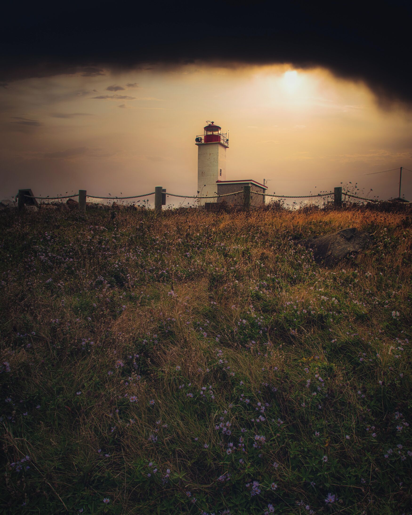 Un faro rodeado por un campo de flores moradas bajo un cielo nublado.