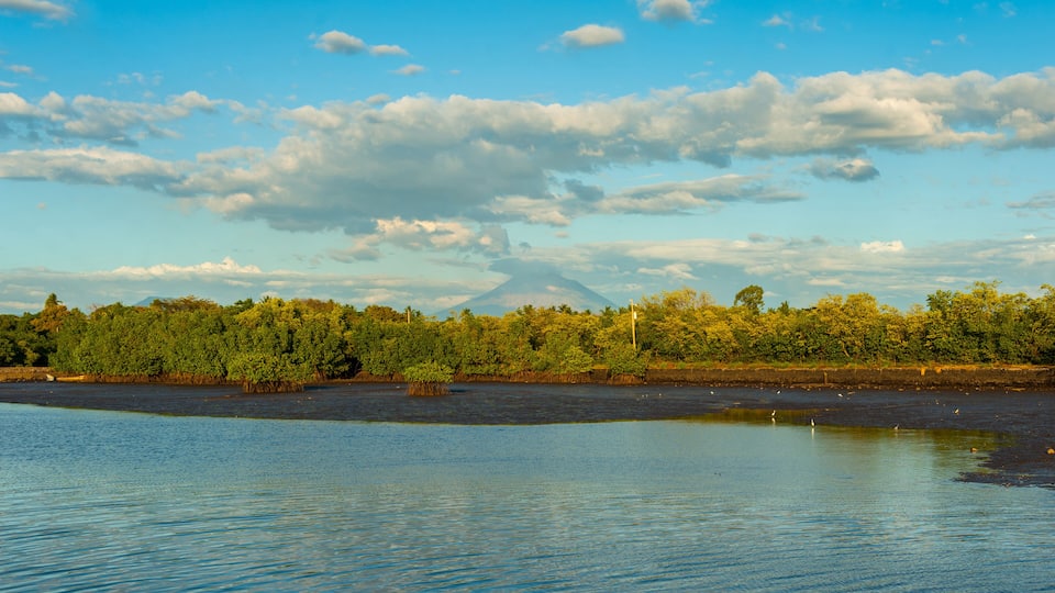 A calm lake with a forested shoreline and a distant mountain.
