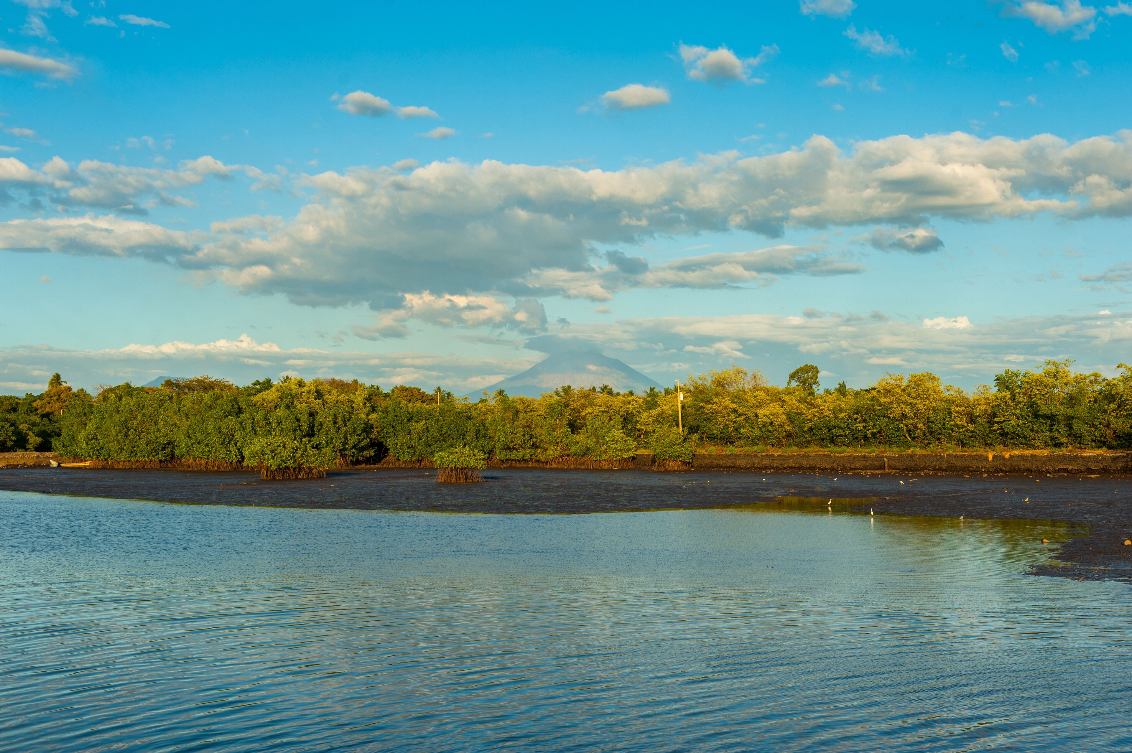 A calm lake with a forested shoreline and a distant mountain.