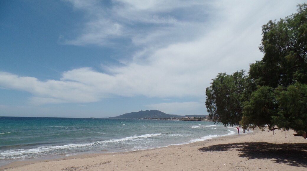 Great beachfront restaurant