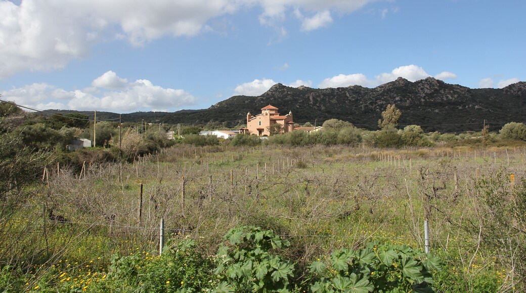 Monti, chiesa della Madonna della Pace, fraz. La Palazzina