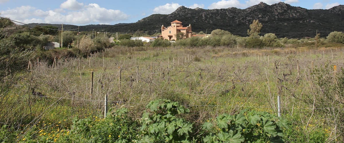 A rural landscape with a house surrounded by fields and mountains.