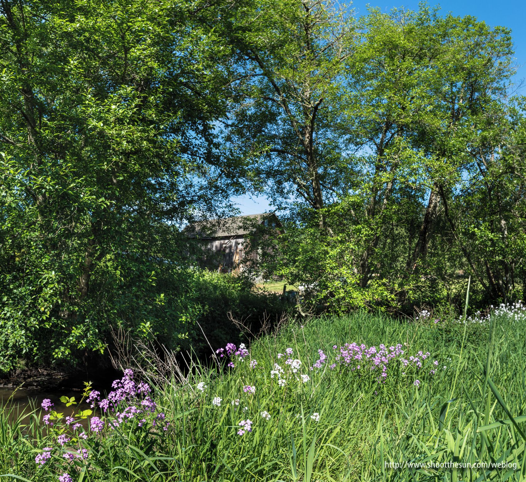 The rural landscape of the greenway takes on an entirely different aspect come summer.

#blue