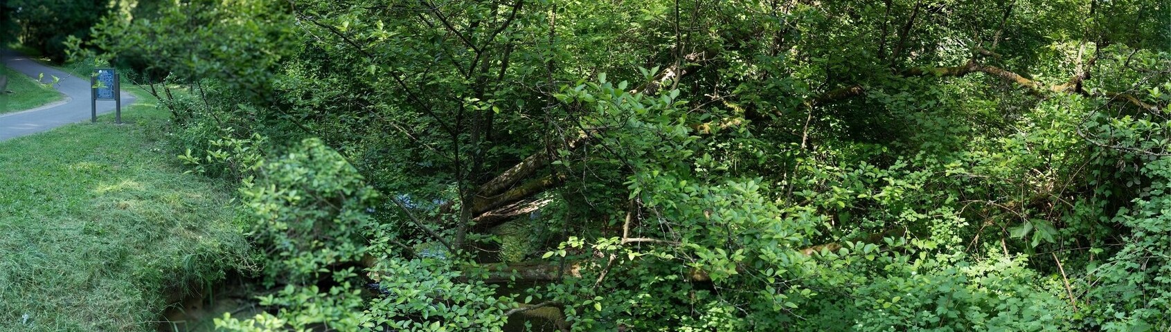 The greenway has gone from the spare, clipped scenes of Winter to a full-on flourishing in the middle of Spring.
(Jeez, almost forgot the #blue)