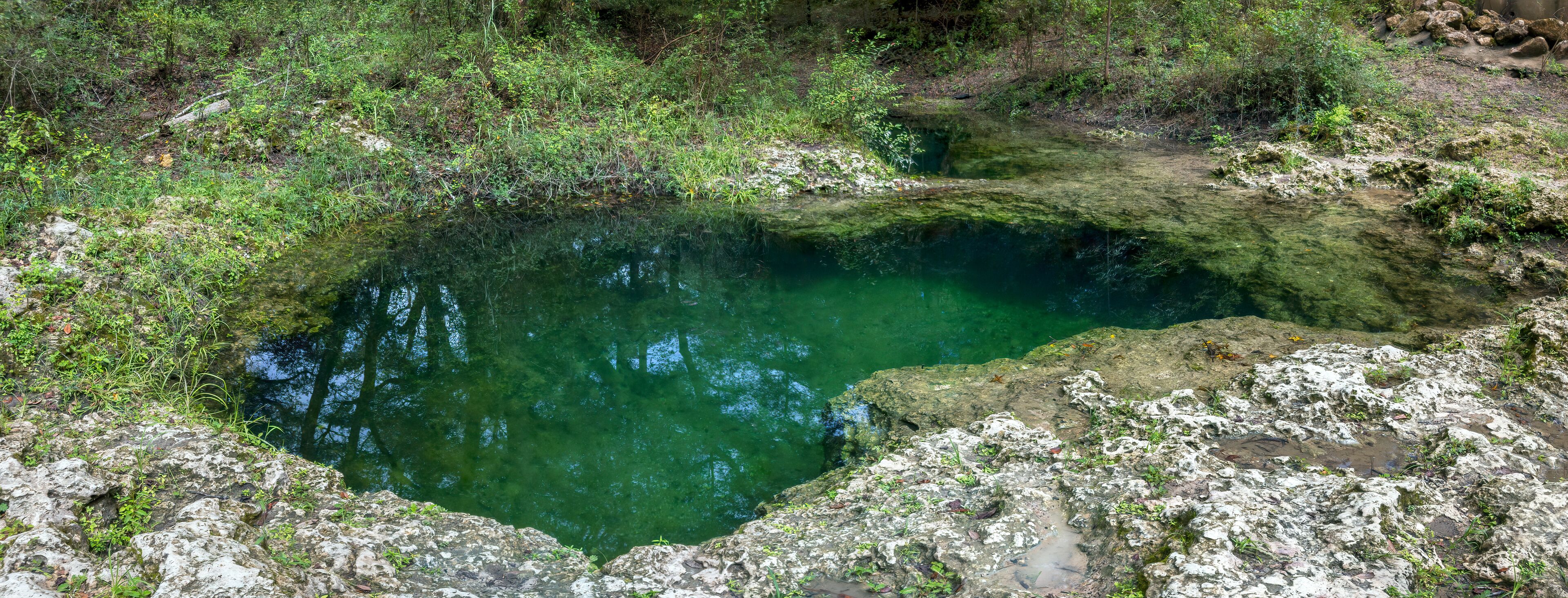 Charles Spring, Dowling Park, Suwannee County, Florida