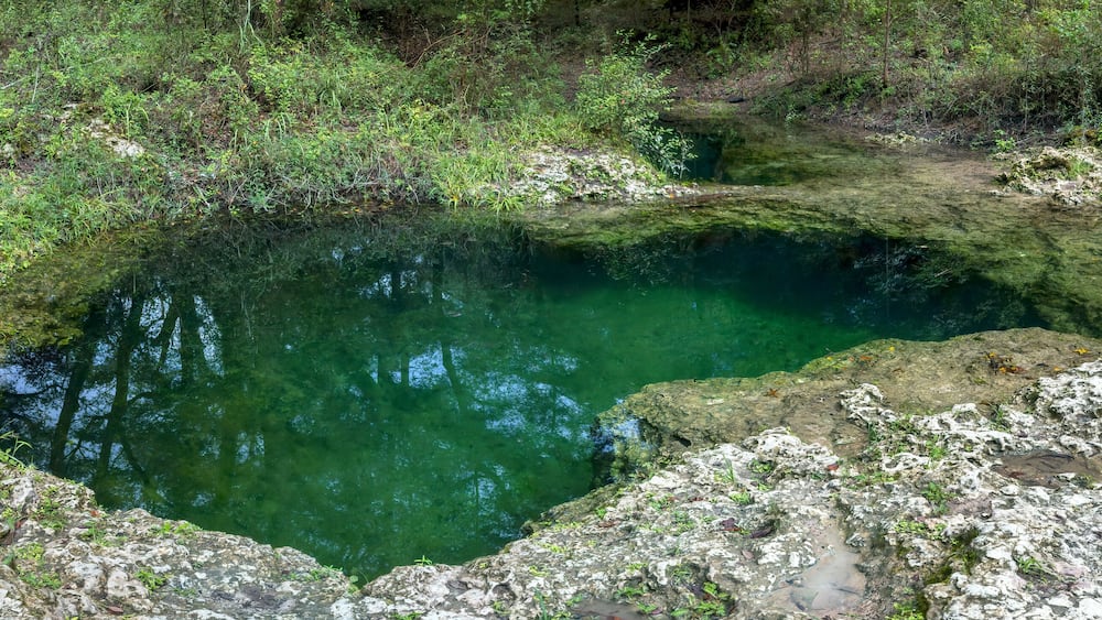 Charles Spring, Dowling Park, Suwannee County, Florida