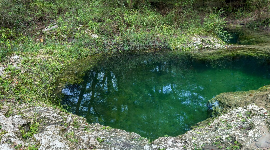 Charles Spring, Dowling Park, Suwannee County, Florida
