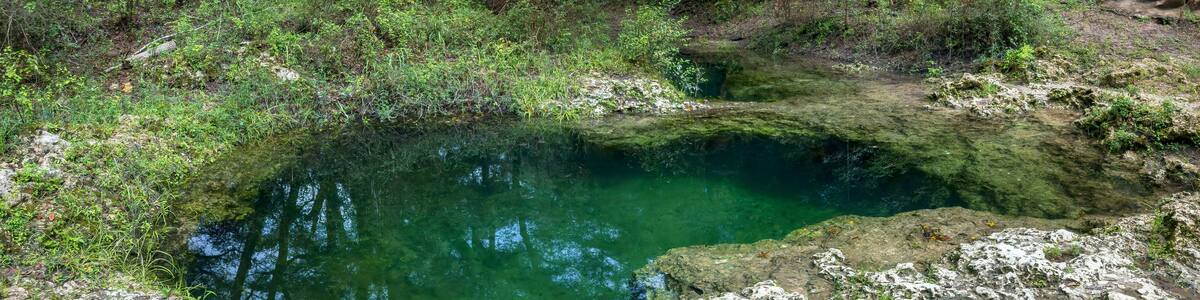 Charles Spring, Dowling Park, Suwannee County, Florida