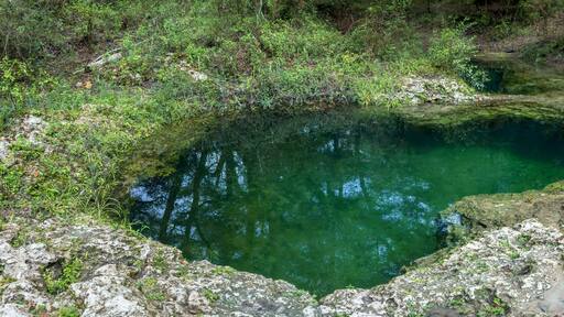 Charles Spring, Dowling Park, Suwannee County, Florida