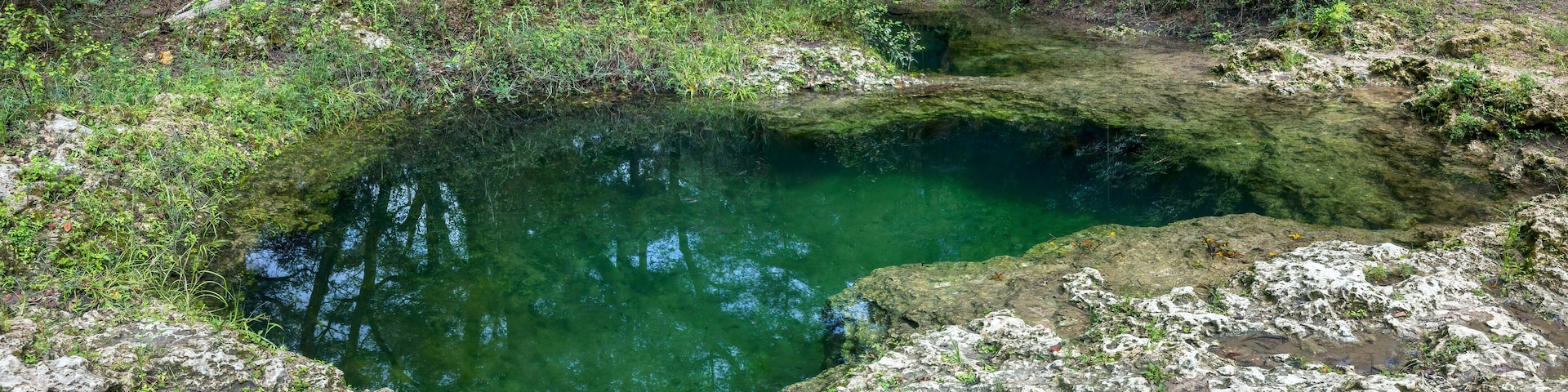 Charles Spring, Dowling Park, Suwannee County, Florida