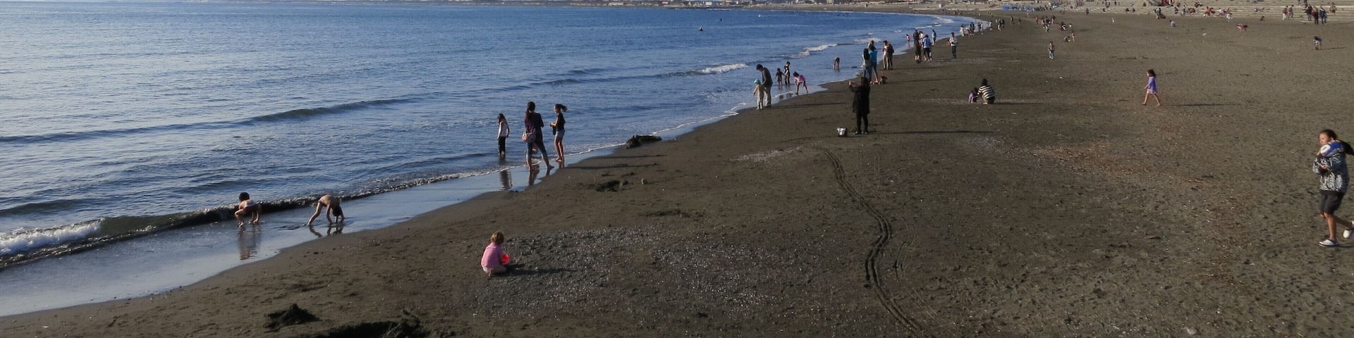 Shonan Kaigan Park http://ja.wikipedia.org/wiki/湘南海岸公園_(藤沢市)