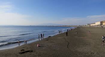 Shonan Kaigan Park http://ja.wikipedia.org/wiki/湘南海岸公園