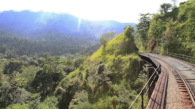A curved railway track winding through a lush green valley with mountains in the background.