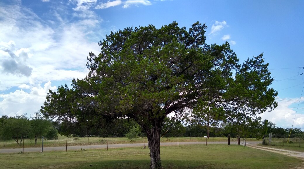 What a beautiful place!