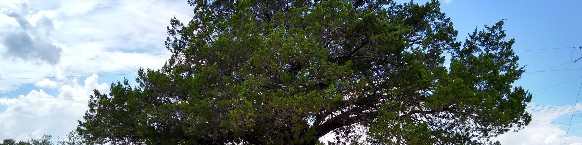 What a beautiful place!