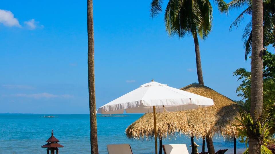 A poolside with palm trees, a thatched umbrella, and a view of the ocean.