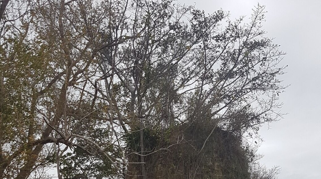 One of two Sugar Mills towers (next to each other), on the land boarding with the Golden Grove Estate. Nearby ruins of the sugar factory dated 17th Century. Pic from La Tartaruga exhibit.