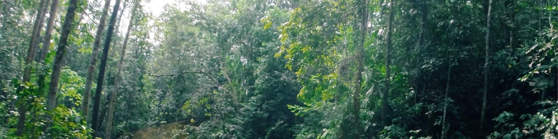 What better way to relax than walking along the rocky river at this recreational park. The water comes from a nearby waterfall accessible via the dirt trail or along the river.