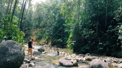 What better way to relax than walking along the rocky river at this recreational park. The water comes from a nearby waterfall accessible via the dirt trail or along the river.