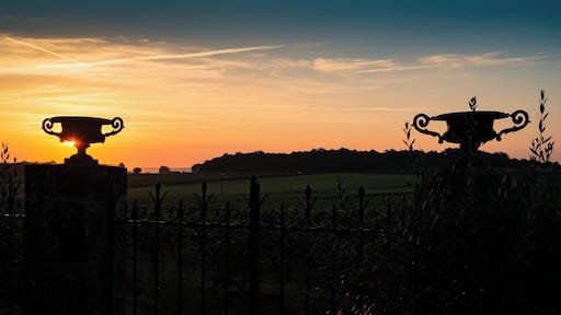 Cognac Bertrand at dawn