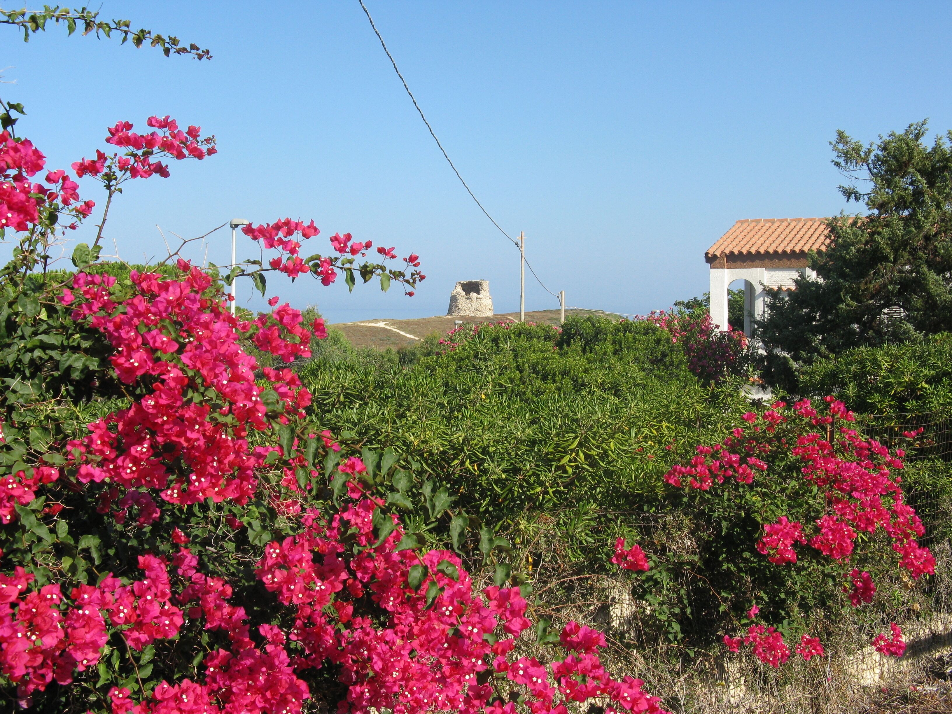 A landscape with vibrant pink bougainvillea flowers, a stone tower, and a white building with a red-tiled roof.