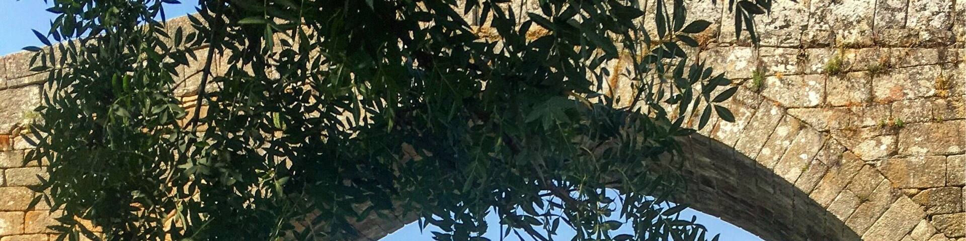 • Enjoy the views •
Many bridges with fortified towers were erected, almost all disappeared; however still exists in Portugal Ucanha of bridge which is in excellent conditions, located in the municipality of Sambucus whose tower is just over the settlement.
The bridge has a board easel, sheltered by high parapet formed by well-equipped ashlars. Based on 5 arcos ogivais, ruggedized upstream hoist by tides. The central arch, much broader than the other will have a large.
Please make sure to also visit the tower and enjoy a cool meal at the end of the bridge .