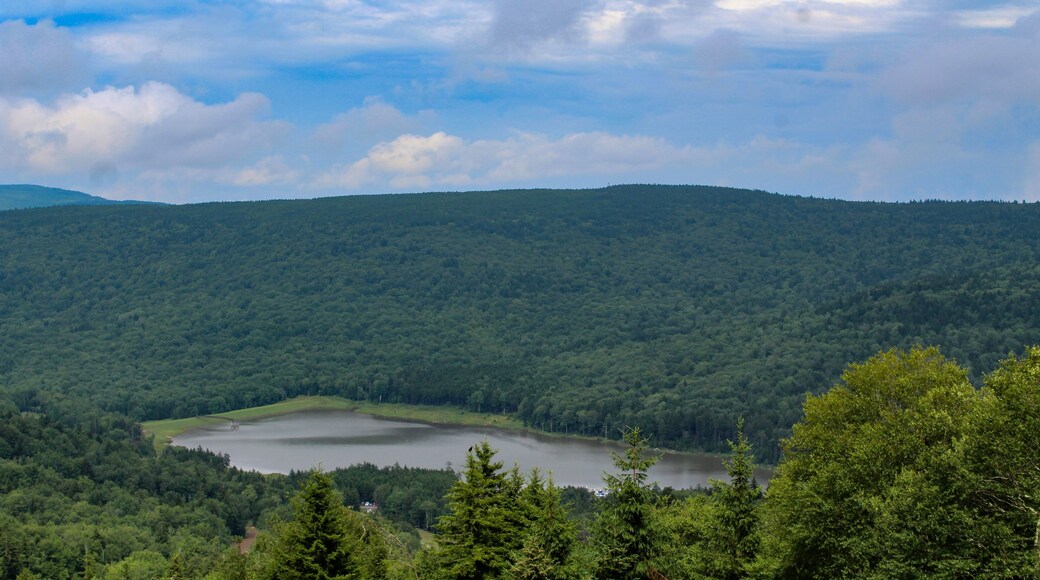 Allegheny Mountains landscape with lake and mountains