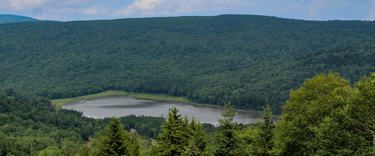 A lake surrounded by dense forest and hills.
