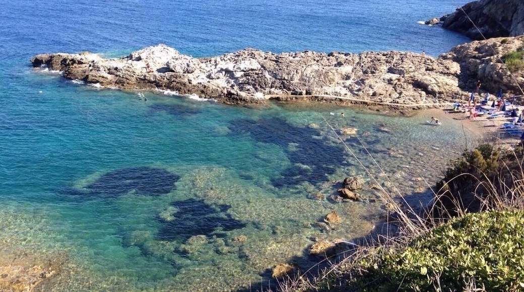 Elba island 🐟⛵️