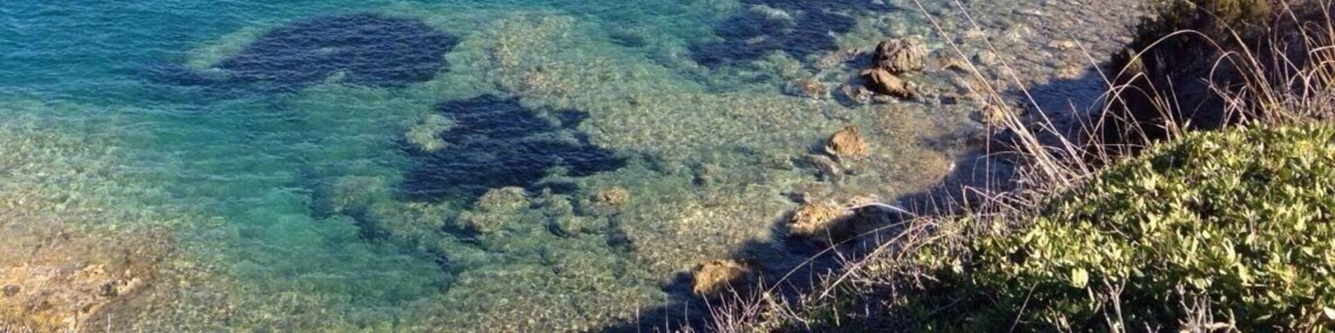 Elba island đâ”ïž