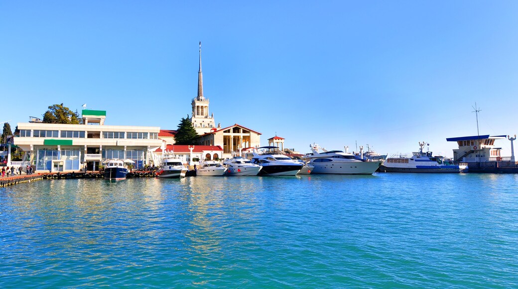 Sochi sea port, yachts in a harbor at sunny day