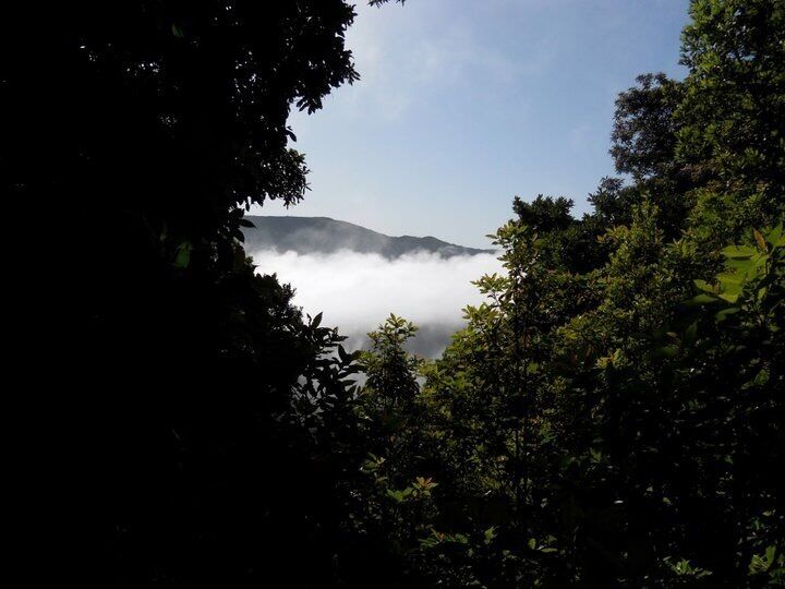 Levada dos Cedros - Madeira Island

🏖 Europe's Leading Island Destination 2016
🏖 World's Leading Island Destination 2015
🏖 Europe's Leading Island Destination 2014
🏖 Europe's Leading Island Destination 2013
