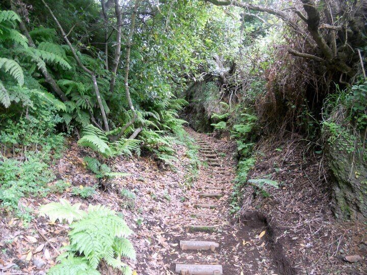 Vereda da Ribeira da Janela - Madeira Island

🏖 Europe's Leading Island Destination 2016
🏖 World's Leading Island Destination 2015
🏖 Europe's Leading Island Destination 2014
🏖 Europe's Leading Island Destination 2013