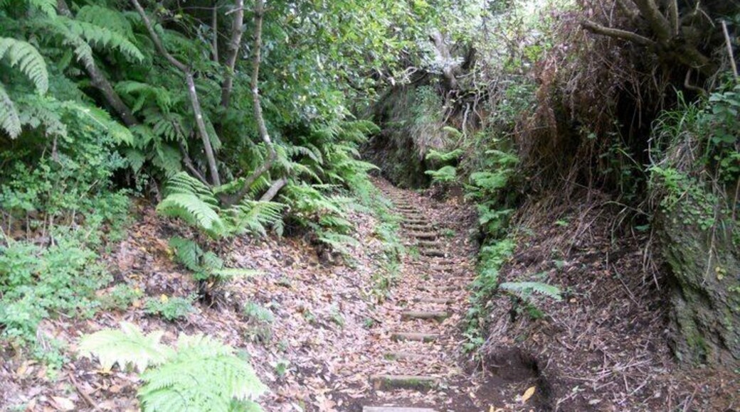 Vereda da Ribeira da Janela - Madeira Island
🏖 Europe's Leading Island Destination 2016
🏖 World's Leading Island Destination 2015
🏖 Europe's Leading Island Destination 2014
🏖 Europe's Leading Island Destination 2013