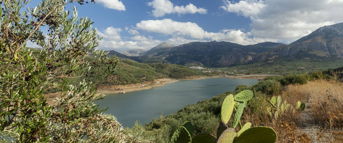 A lake surrounded by mountains, with olive trees and cacti in the foreground.