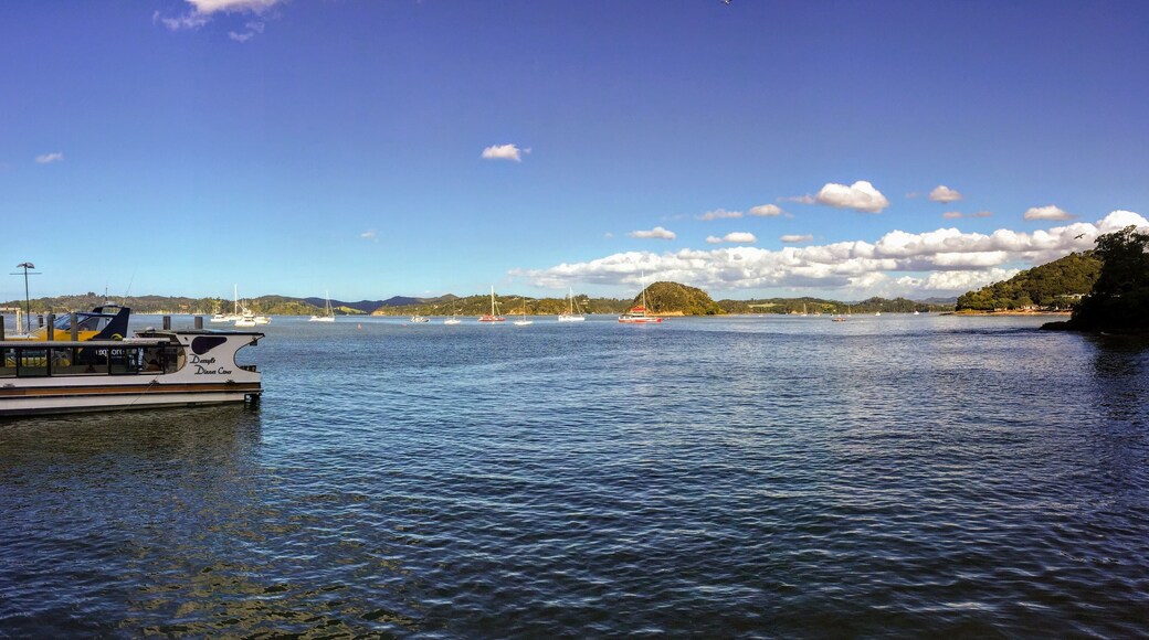The view of Kororareka Bay in Russell, New Zealand. Many boats are anchored in the bay. The local ferry that takes tourists and locals back and forth to Russell is in view.