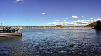 The view of Kororareka Bay in Russell, New Zealand. Many boats are anchored in the bay. The local ferry that takes tourists and locals back and forth to Russell is in view.
