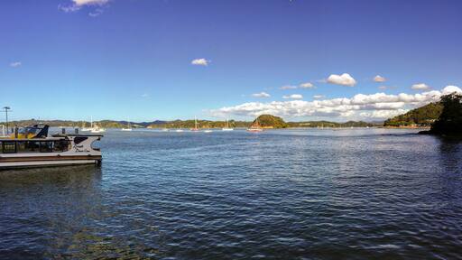 The view of Kororareka Bay in Russell, New Zealand. Many boats are anchored in the bay. The local ferry that takes tourists and locals back and forth to Russell is in view.