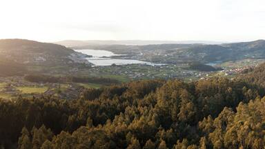 A valley with a river, a bridge, and a town surrounded by forested hills.