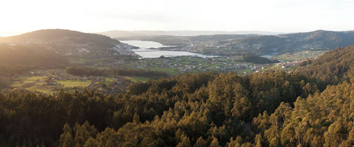 A valley with a river, a bridge, and a town surrounded by forested hills.