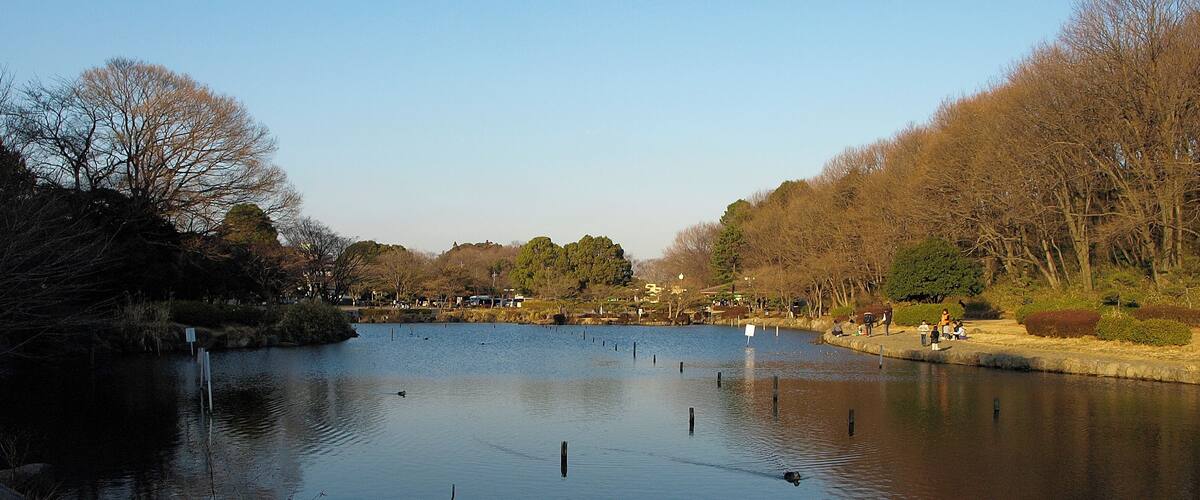 Children's Natural Park (Ooike Park) in Asahi-ku, Yokohama, Japan.