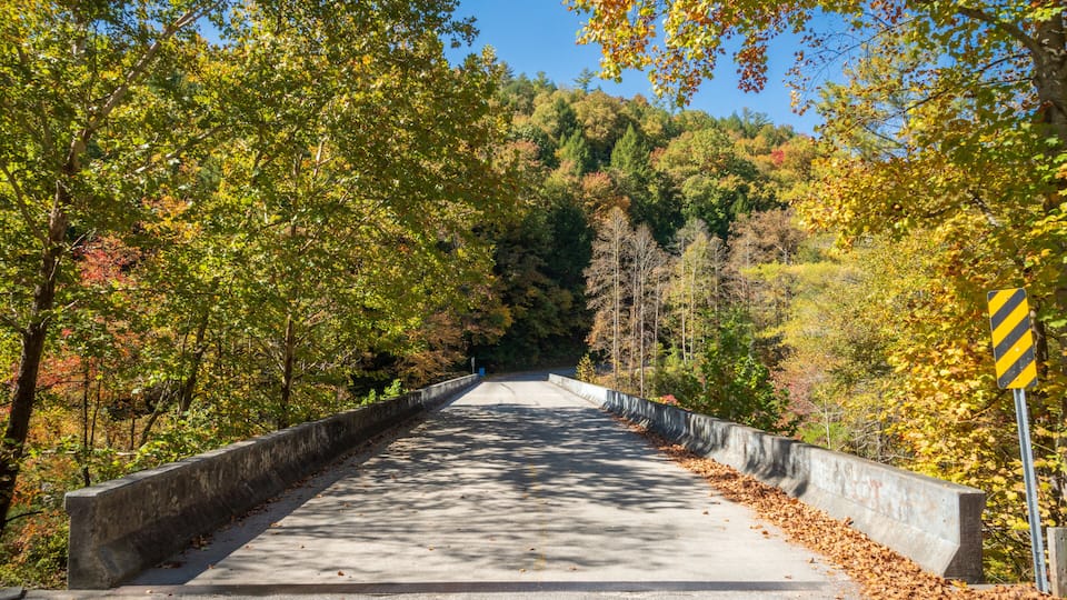 A bridge surrounded by autumn foliage.