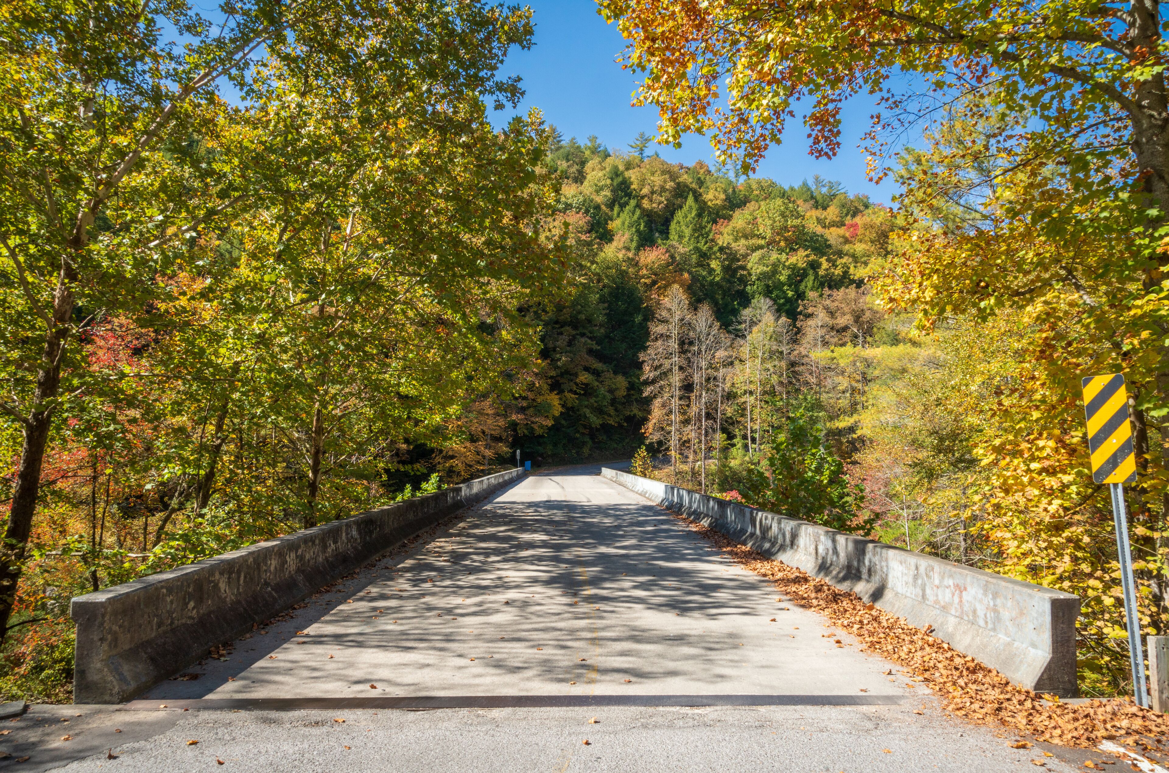 A bridge surrounded by autumn foliage.